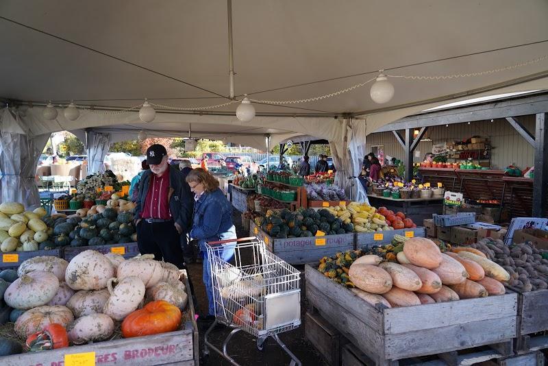 jardin fruitier,plantation,arboriculture,pommier,abricotier,arbre fruitier,CanaGuide,récolte,Rougemont,Potager Mont-Rouge Halte Gourmande | Verger & Boutique | Orchard & Boutique,pépinière,cerisier,prunier,poirier,fruits, Potager Mont-Rouge Halte Gourmande | Verger & Boutique | Orchard & Boutique - Verger à Rougemont (Quebec) | CanaGuide